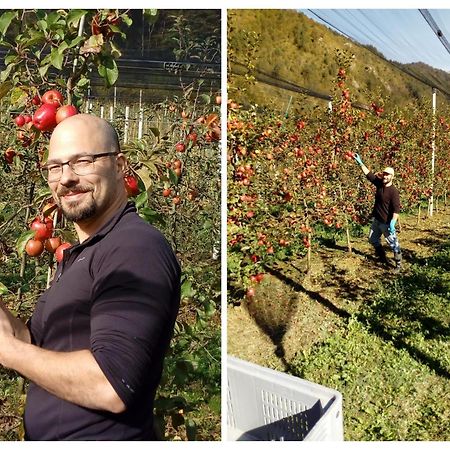 בארצ'יס Agriturismo Pian Dei Tass מראה חיצוני תמונה