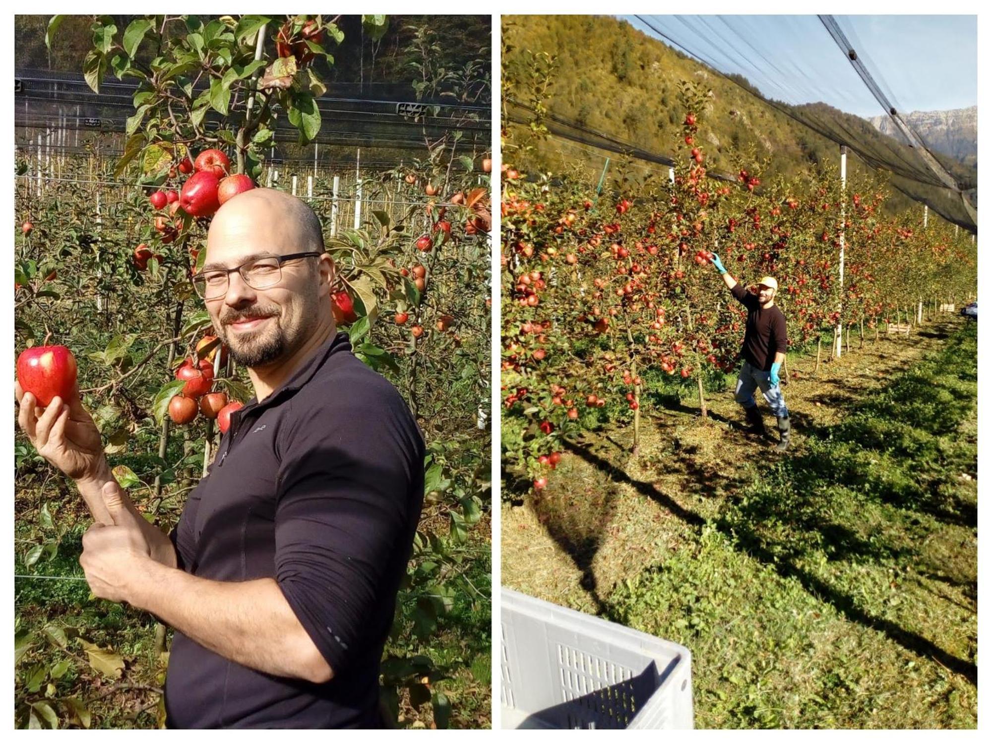 בארצ'יס Agriturismo Pian Dei Tass מראה חיצוני תמונה